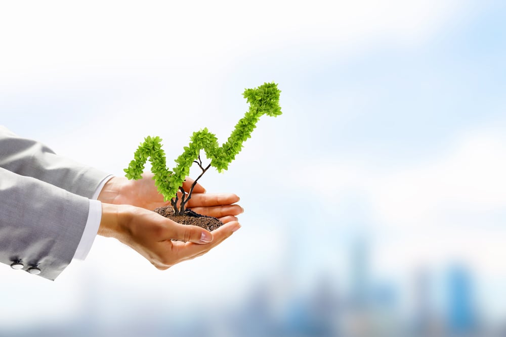 Image of human hands holding plant shaped like arrow-1