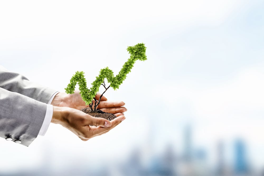 Image of human hands holding plant shaped like arrow-2