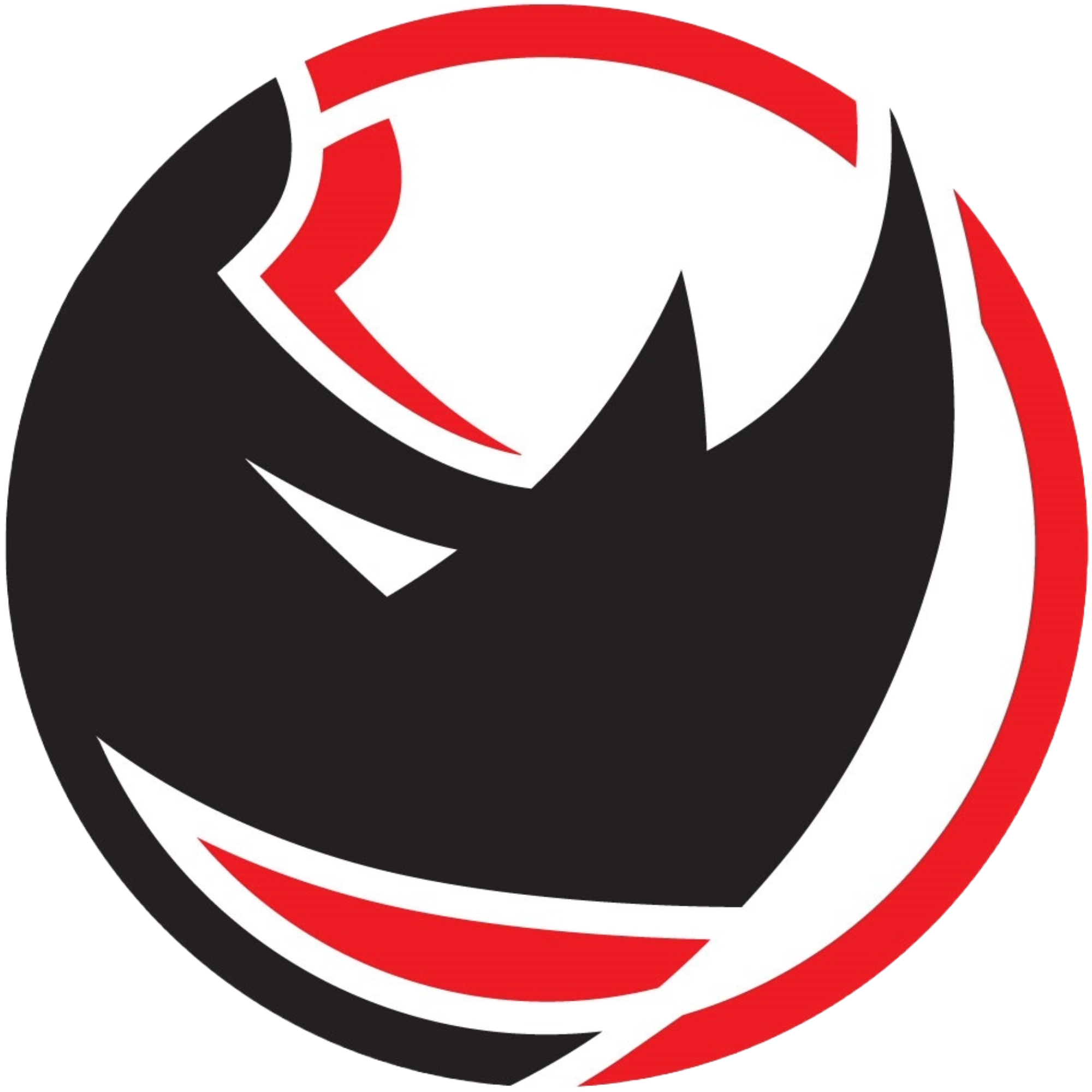 Rhino Esport Logo Design
